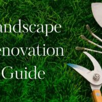 Guide to Preparing for a Landscape Renovation