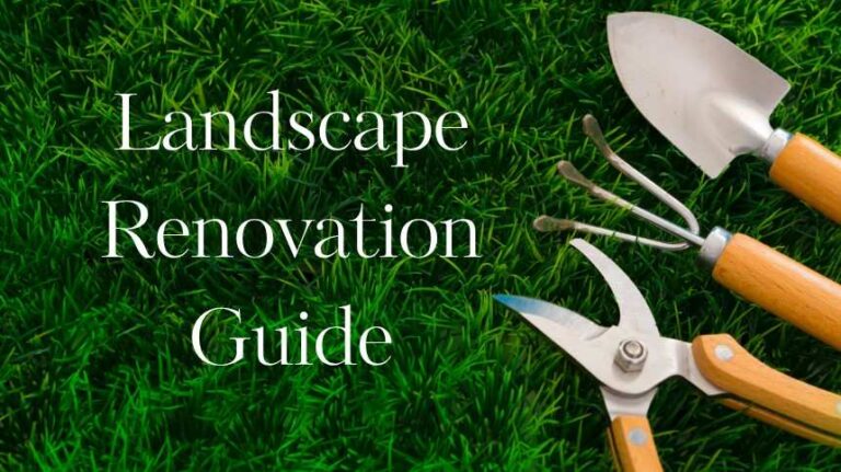 Guide to Preparing for a Landscape Renovation